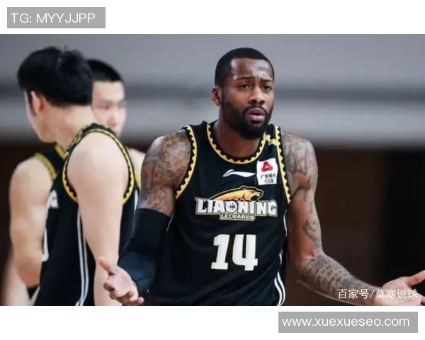 探索弗格的魅力与影响力：从历史到现代的深度剖析与思考