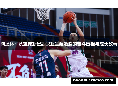 陶汉林：从篮球新星到职业生涯巅峰的奋斗历程与成长故事